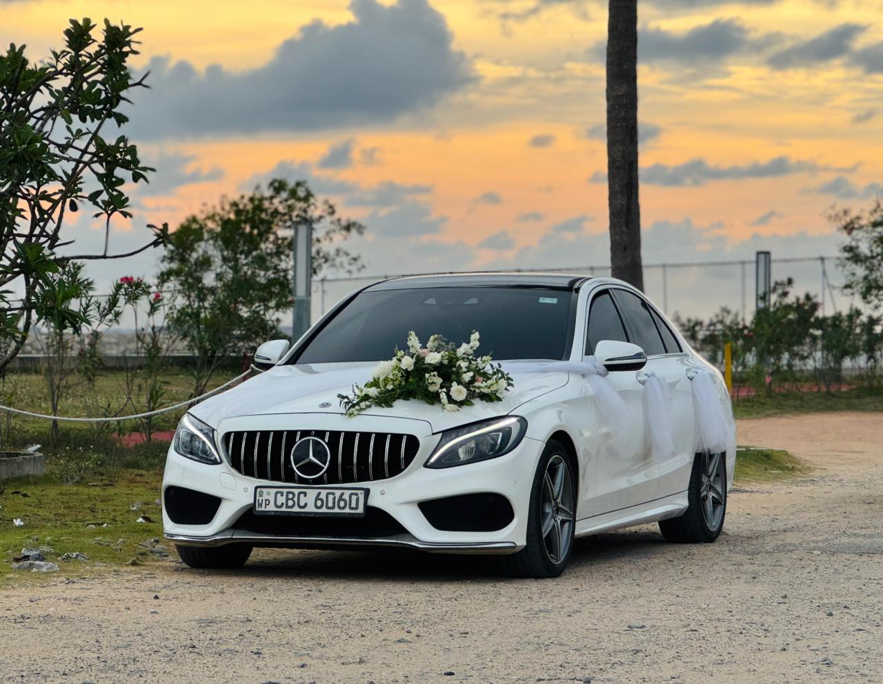 asia fleet cars