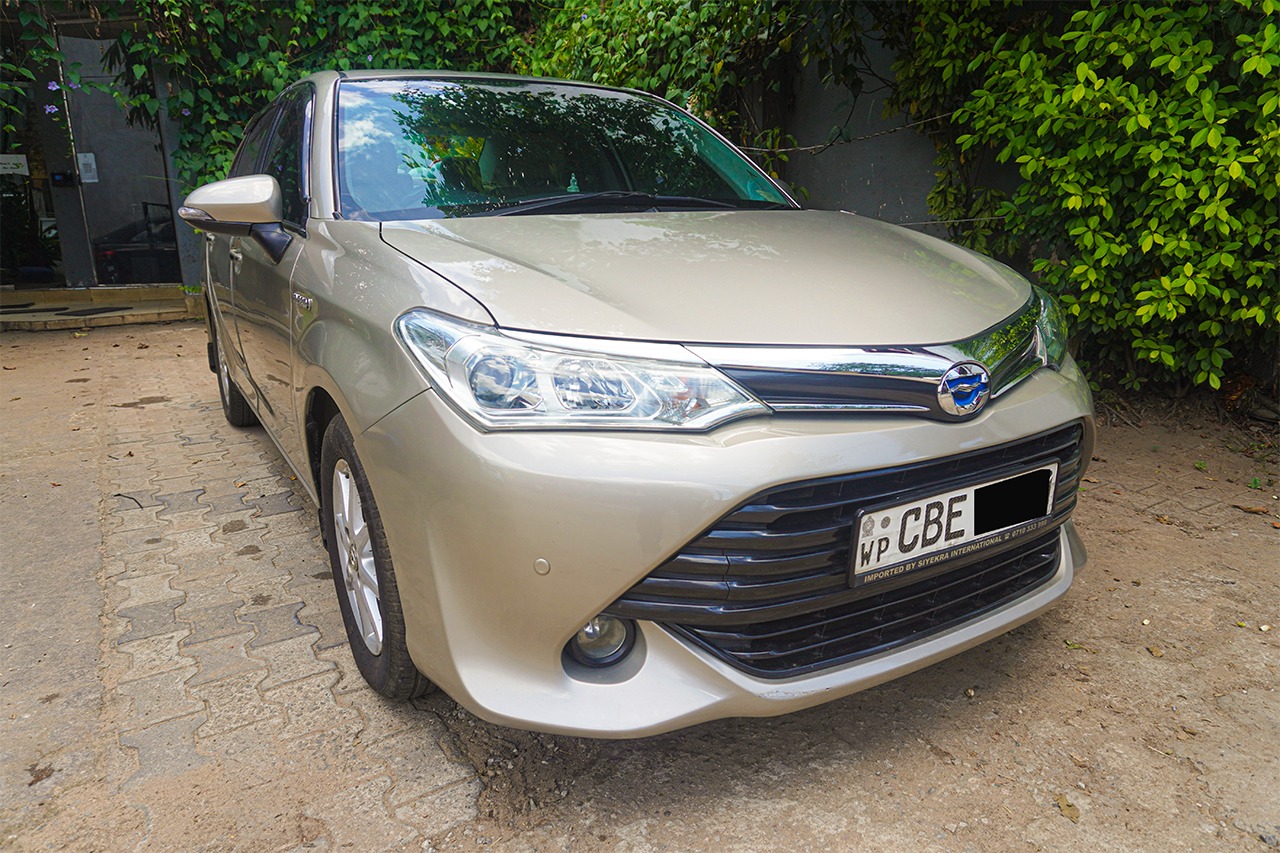 asia fleet cars
